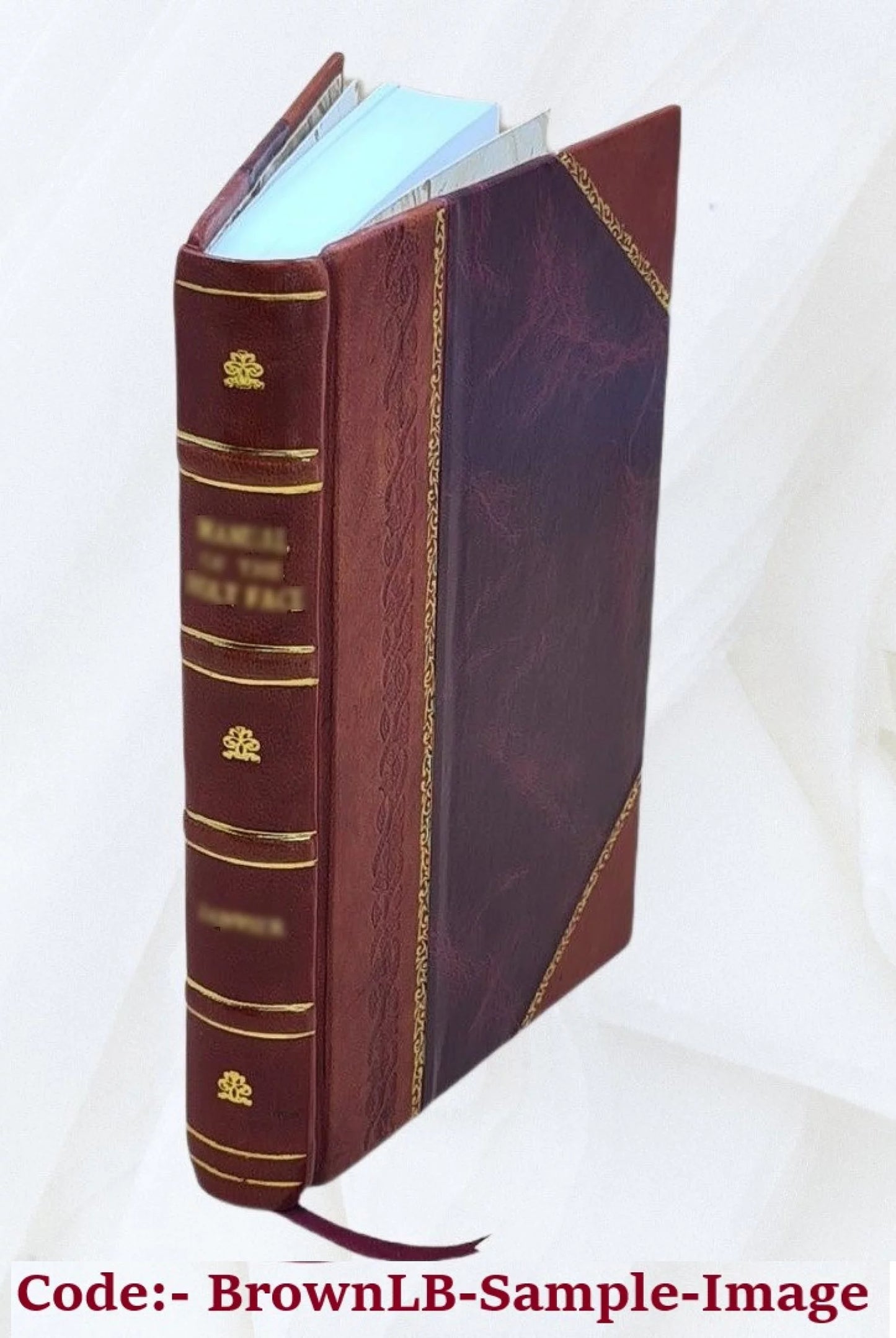 The Pentecost Holy : of 1903 meditations gift the [Leather on Bound] Ghost