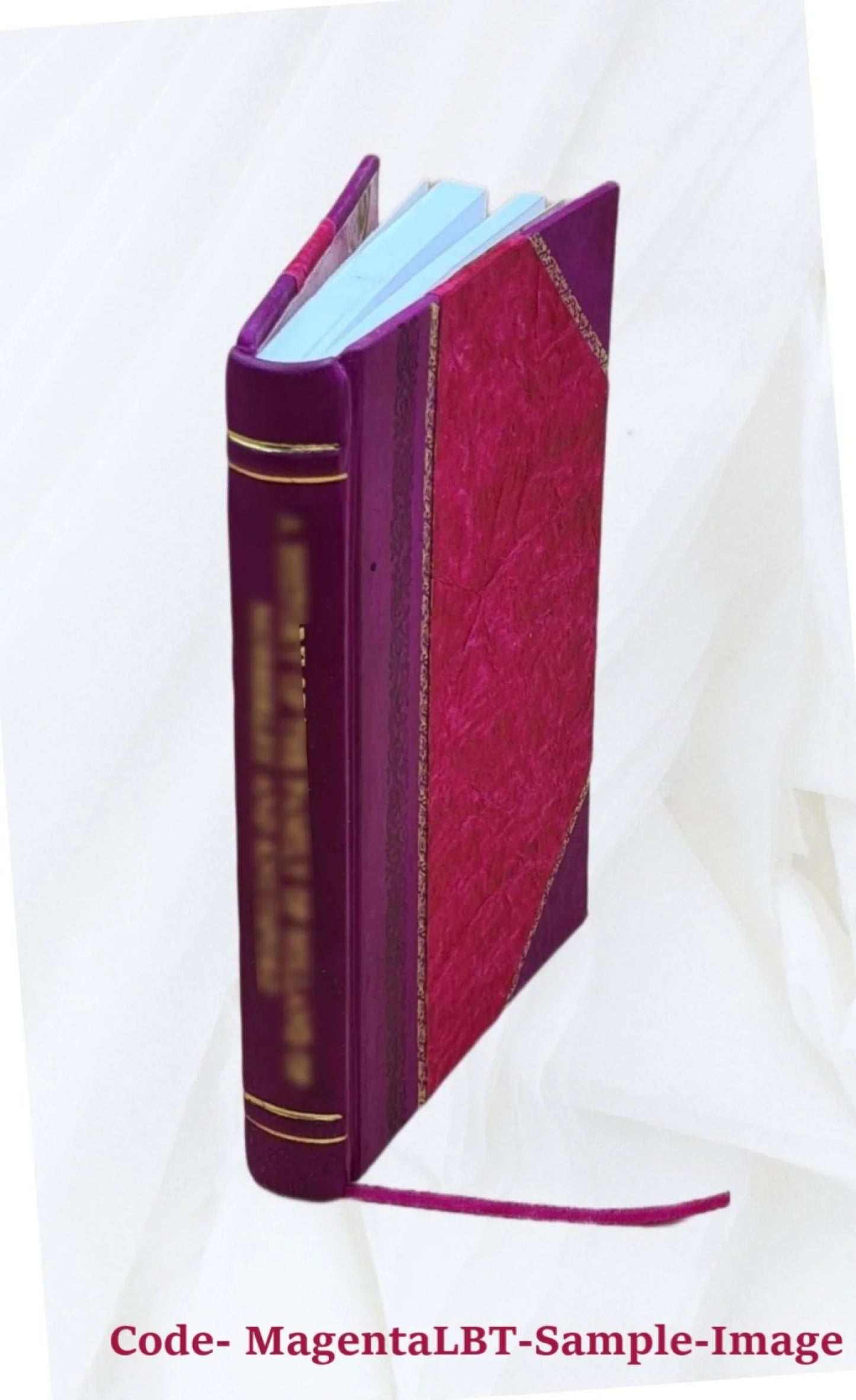 the Mischiefs [Leather Bound] tax. malt of 1864