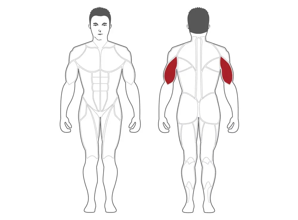 (PLTE) Machine SteelFlex Tricep Extension