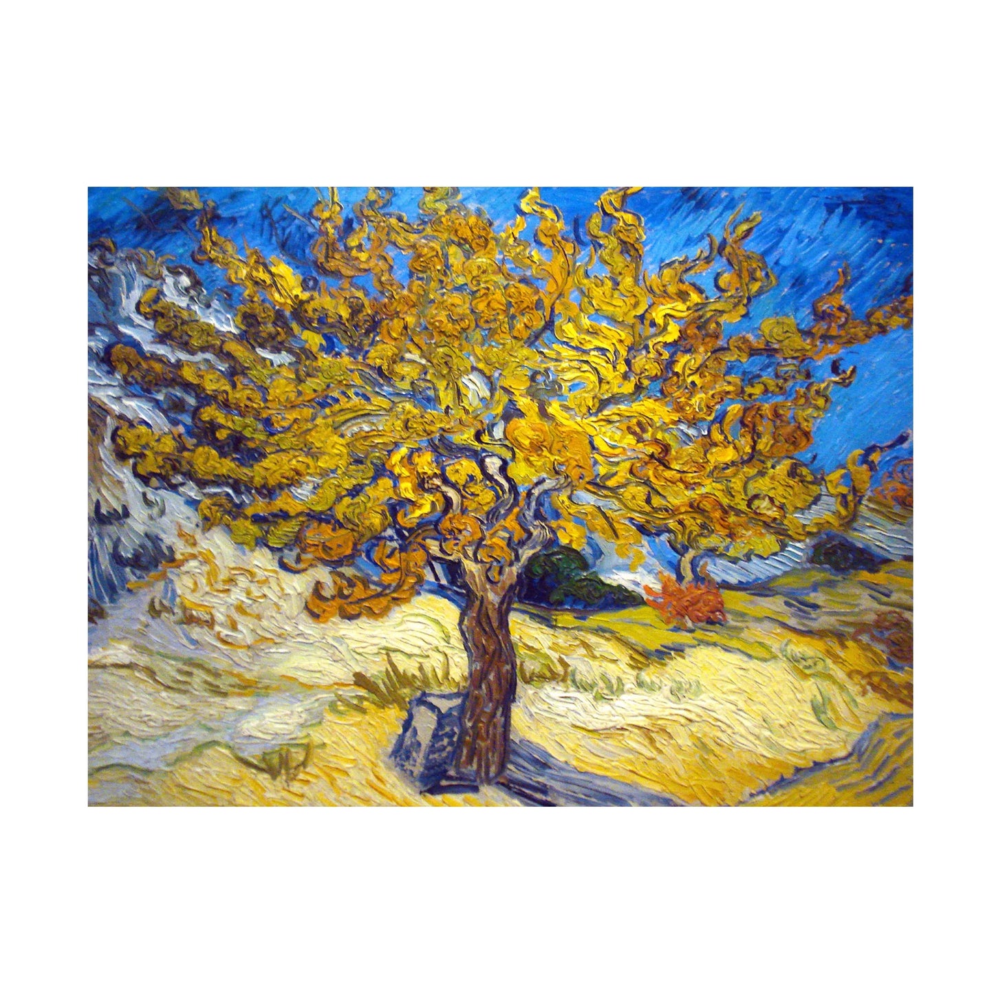 Van Gogh Vincent Canvas Tree' Art Mulberry 'The