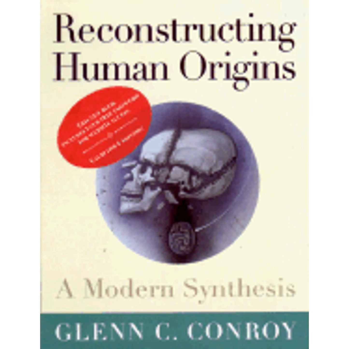 9780393970425) by Conroy Reconstructing Human Pre-Owned Origins: Glenn Modern Synthesis (Paperback A