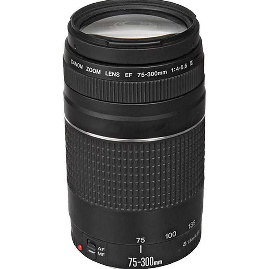 75-300mm Extra EF STM Case Lenses, LED Camera 420-800mm HD + Canon III included: Memory Mirrorless RF-S & + More with R7 EOS Battery, 2X Video 18-150mm 64GB Microphone, Accessories Cards, Light, IS