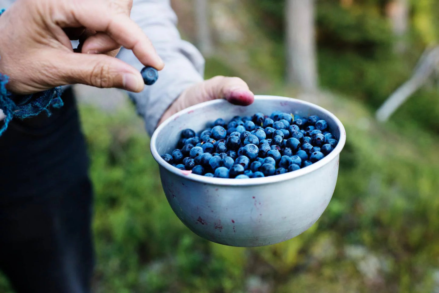 14.1 Hafi Swedish Steel Pack & (3-Pc Stainless Spoon Each Blueberry with Modern ml) Set) Gooseberry Oz. of Bonus Combo Preserves (400 Swedish