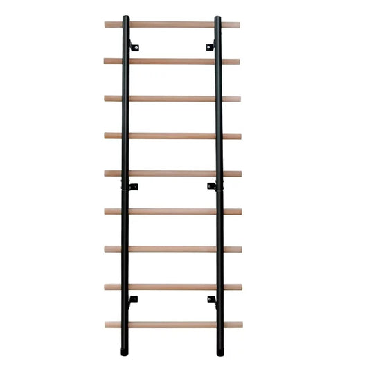 Steel Bars Frame DHT Wall Bar Beech Ballet Rehabilitation Stall Gymnastics Wood Ladder WA2