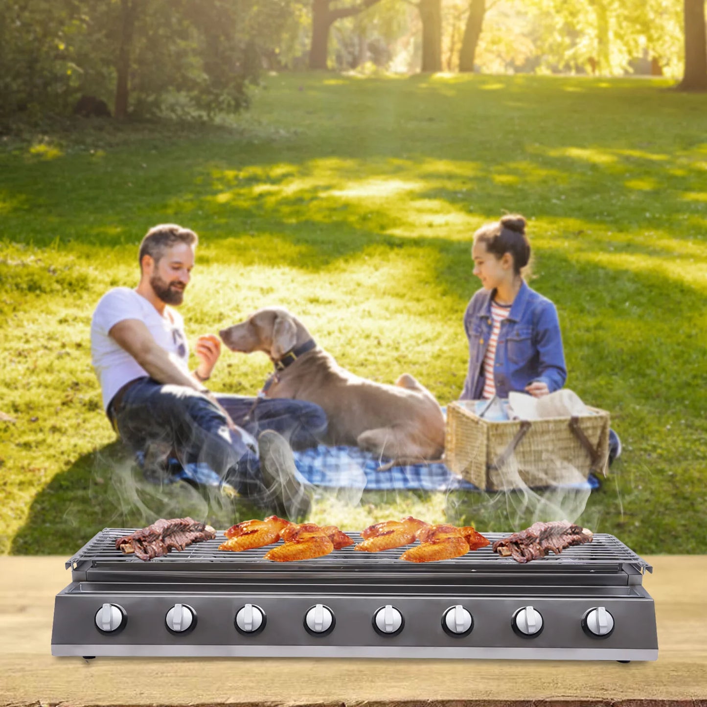 Stainless Patio Party Grill Gas Steel BBQ Grill for Picnic, Garden YIYIBYUS Home Barbecue