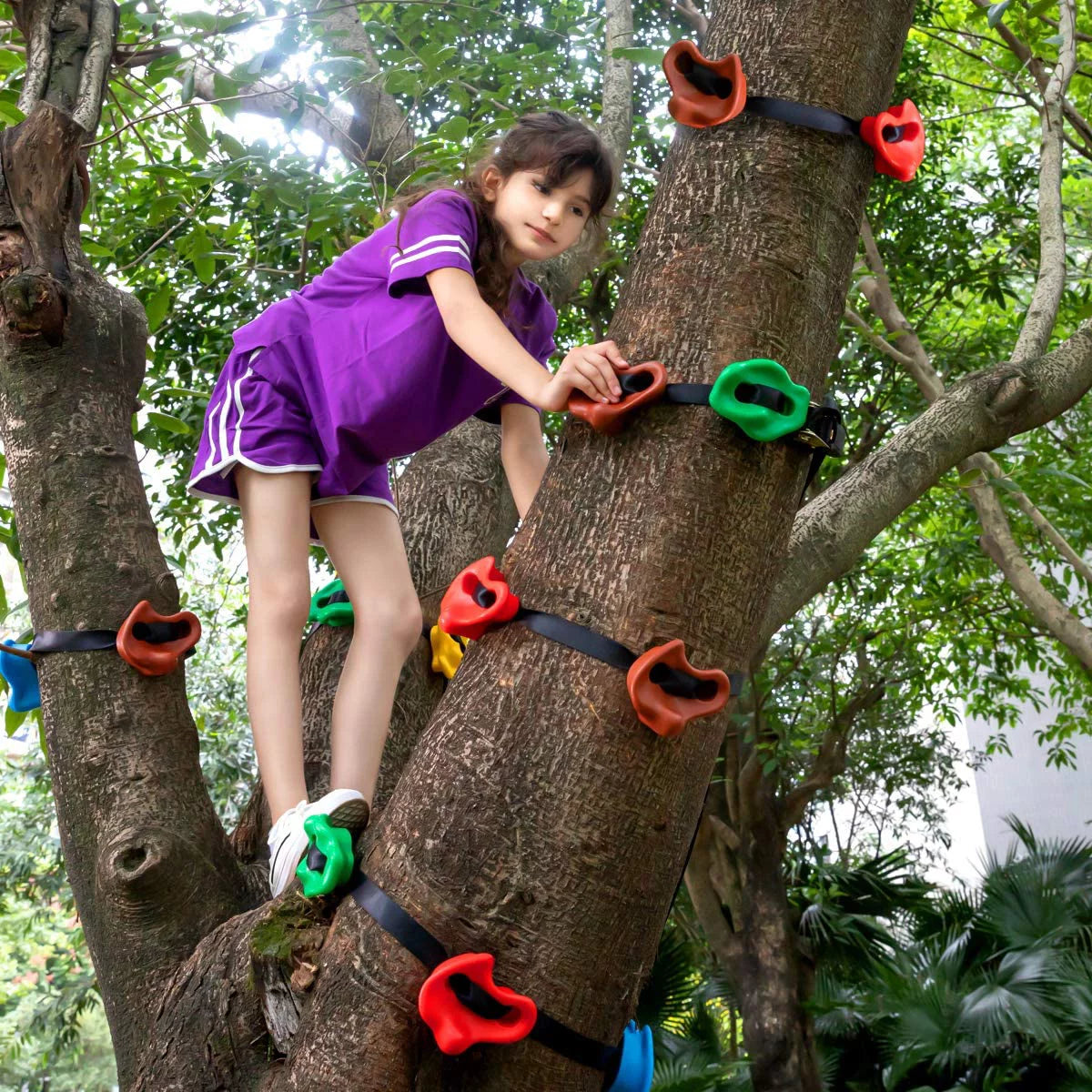 Training Large Living Climbing Straps for Ratchet Brizi for Climbing Warrior Climbing, 18 6 Kids Tree Tree Obstacle Outdoor Holds and Sturdy Rocks Course